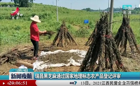 喜訊！“瑞昌黑芝麻”通過(guò)國(guó)家地理標(biāo)志農(nóng)產(chǎn)品登記評(píng)審！